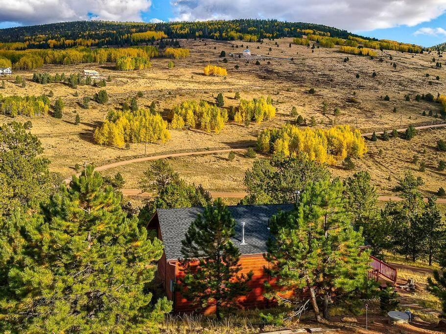 Monarch Landing, A Cozy Cabin W/360 Mountain Views Cripple Creek Dış mekan fotoğraf